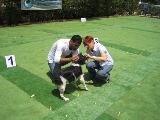 9th-national-breed-show0087