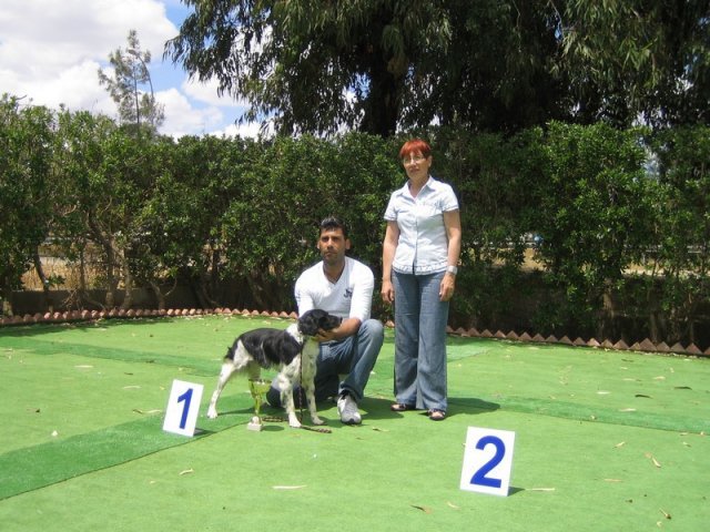 9th-national-breed-show0090