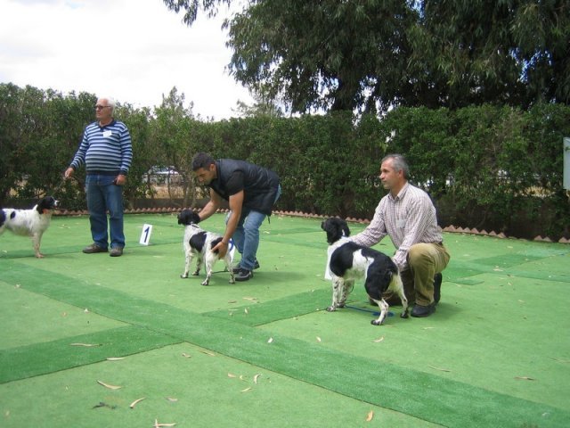 9th-national-breed-show0093