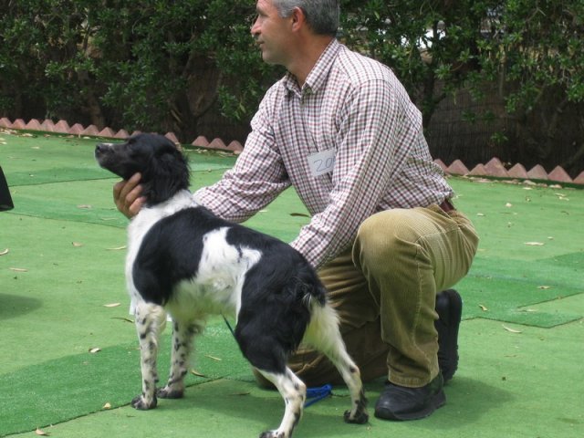 9th-national-breed-show0094