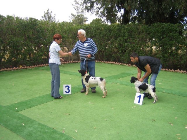 9th-national-breed-show0095