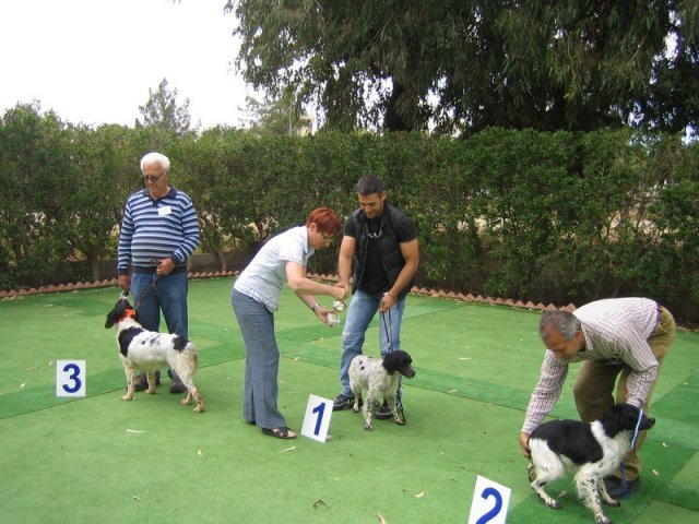 9th-national-breed-show0097