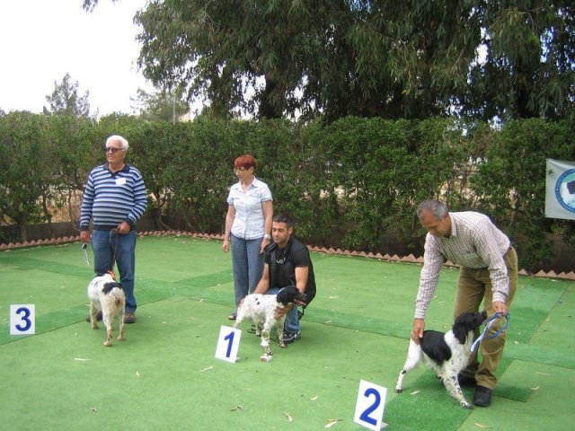 9th-national-breed-show0098