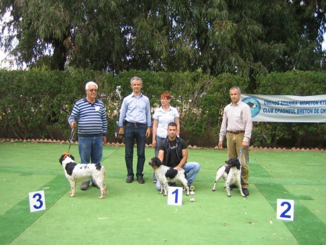 9th-national-breed-show0099