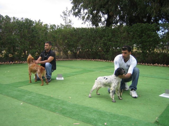 9th-national-breed-show0101