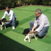 9th-national-breed-show0011