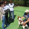 9th-national-breed-show0033