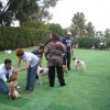 9th-national-breed-show0046