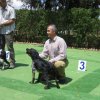 9th-national-breed-show0068