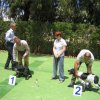 9th-national-breed-show0081