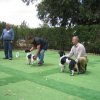 9th-national-breed-show0093