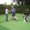 9th-national-breed-show0095