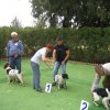 9th-national-breed-show0097