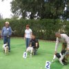 9th-national-breed-show0098