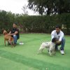 9th National Breed Show - Cyprus 2011
