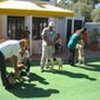 BREED SHOW 2014
