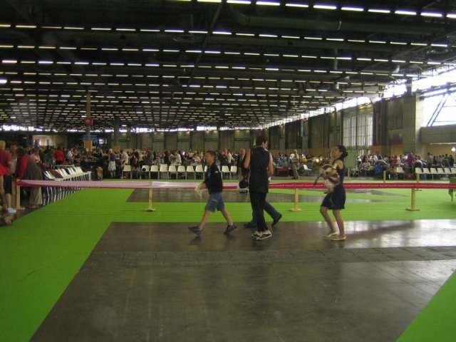 france2011045
