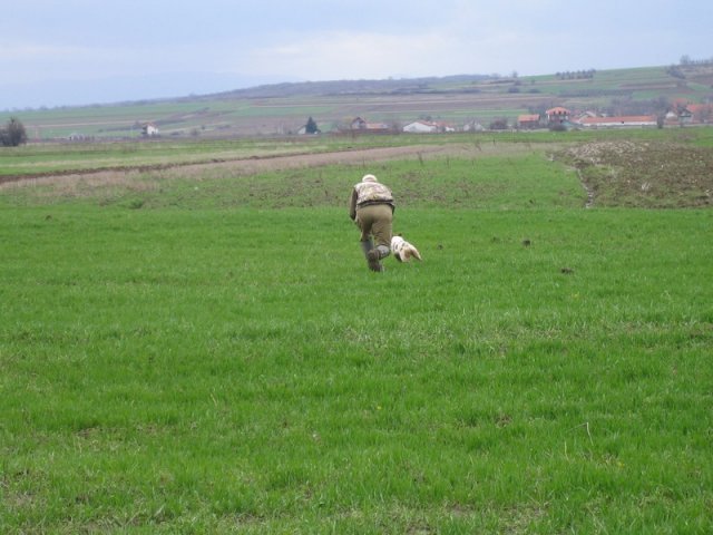 serbia-eu-championship042