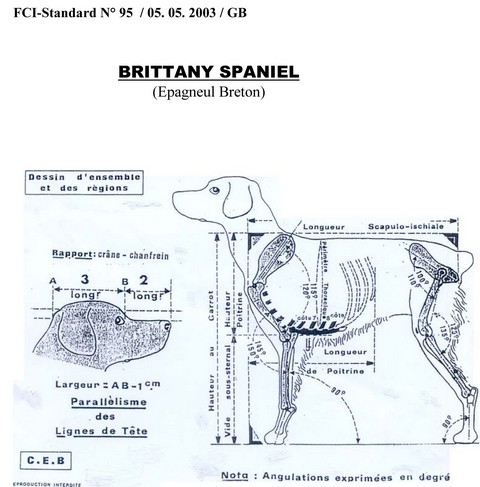 FCI